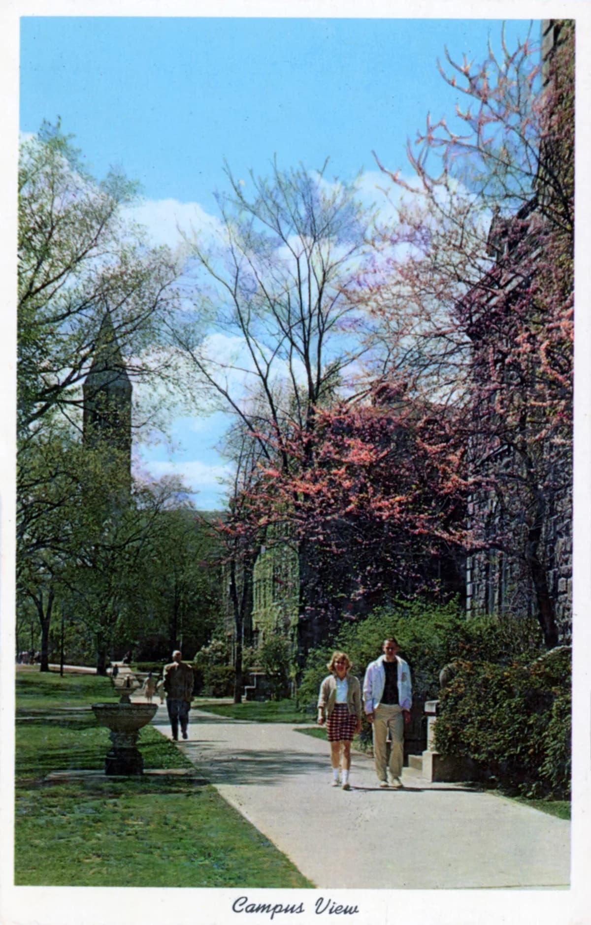 Cartão-postal antigo do Arts Quad da Universidade Cornell, em Ithaca, Nova York, onde Justin Kruger e David Dunning conduziram os estudos de 1999.