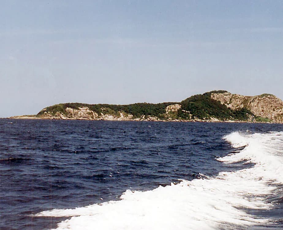 Ilha rochosa e baixa coberta de vegetação verde, vista do mar, com a esteira branca de um barco em primeiro plano.