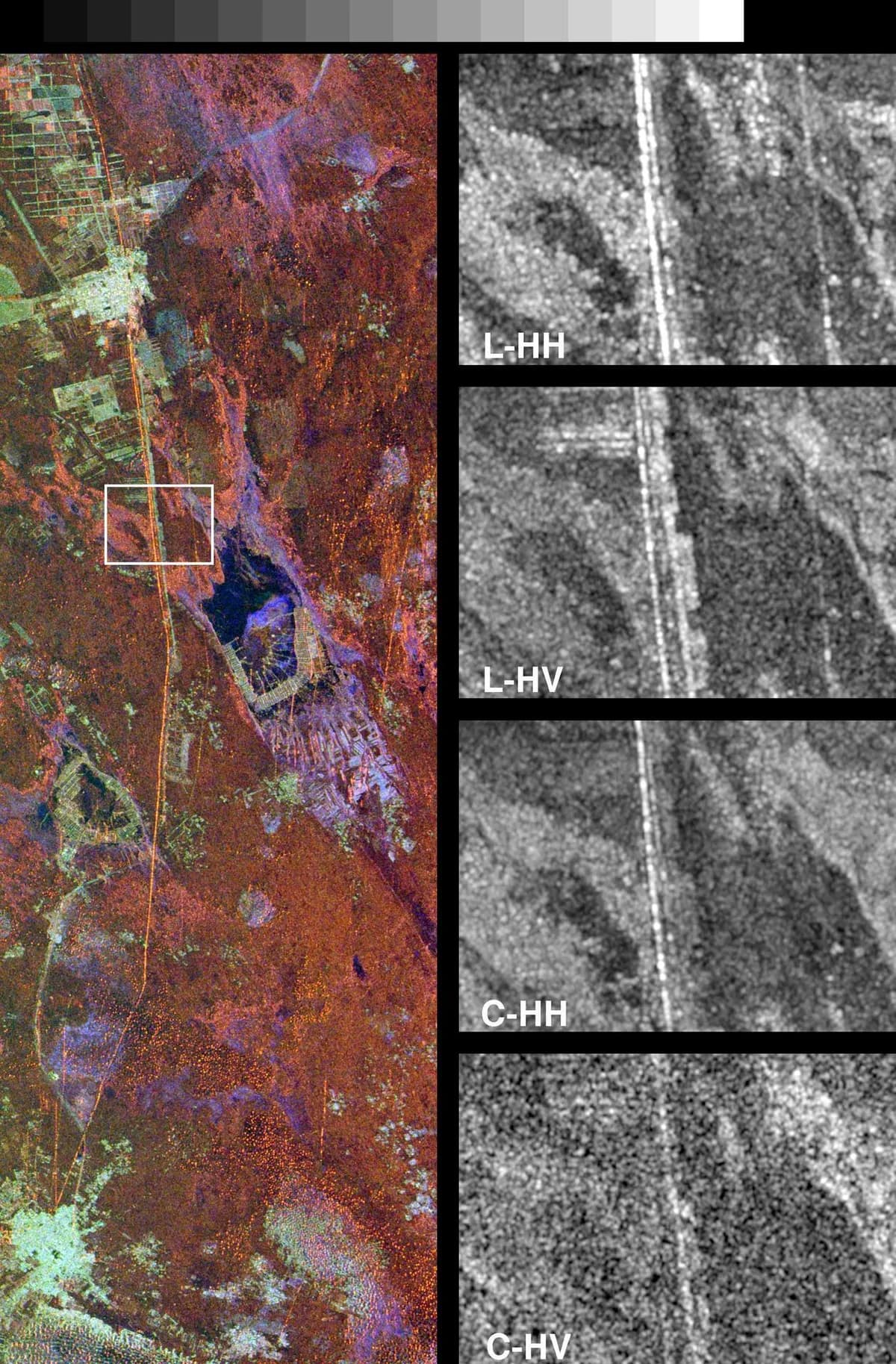 Imagem de radar em tons de laranja, roxo e verde com uma linha fina e reta cruzando o quadro de cima a baixo; à direita, quatro recortes em preto e branco mostram a mesma linha ampliada.