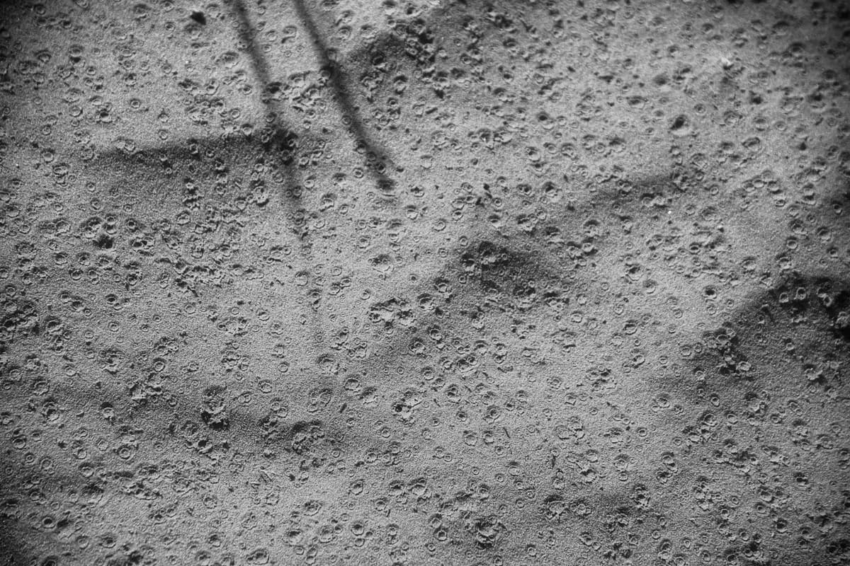 Foto em preto e branco de areia de praia coberta de pequenas crateras circulares deixadas por gotas, com sombras de hastes cruzando a imagem.